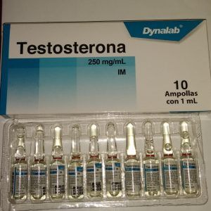TESTOSTERONA 250mg/ 1ml amp (Aka Sustanon) By Dynalab