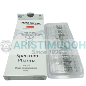 TESTO MIX 250