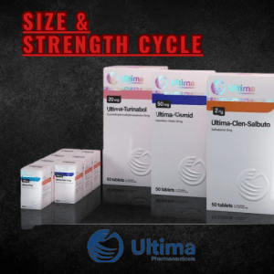 SIZE & STRENGTH CYCLE