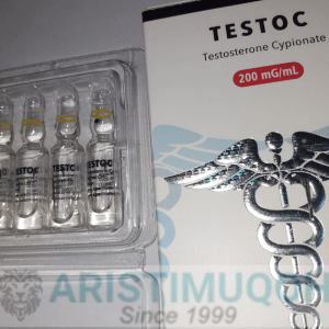 TESTO C