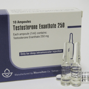 Testosterone Enanthate 250 (Amps)